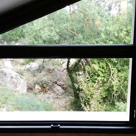 Palermo Dal Bosco Moarda *