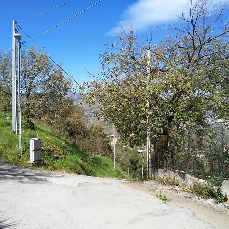 Palermo Dal Bosco Moarda *